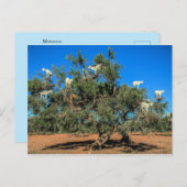 木おもしろいのヤギ ポストカード (正面/裏面)