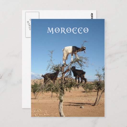 木おもしろいのヤギ ポストカード (正面/裏面)