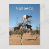 木おもしろいのヤギ ポストカード (正面)