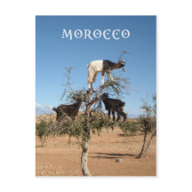 木おもしろいのヤギ