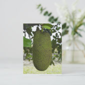 木からぶら下がったのジャックフルーツ ポストカード (スタンド正面)