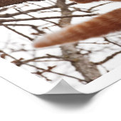 木から秋する猫のポスター ポスター (角)