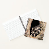 木から顔を出すアライグマの赤ちゃん ノートブック (内部)