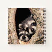 木から顔を出すアライグマの赤ちゃん ノートブック (裏面)