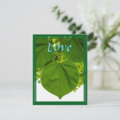 木が太陽を愛するようにあなたを愛している シーズンカード (スタンド正面)