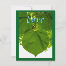 木が太陽を愛するようにあなたを愛している シーズンカード