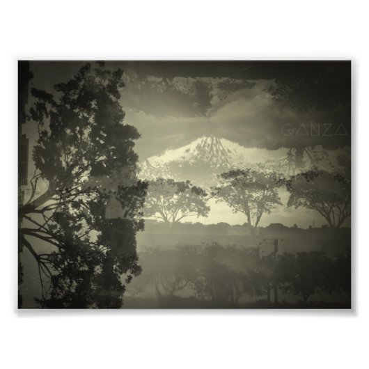 木が見える。 フォトプリント            (正面)