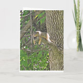 木つるのサポートカードに可愛いリス カード (裏面)