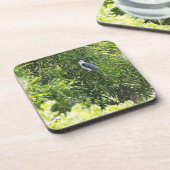 木でとまっているフクロウ コースター (左側)