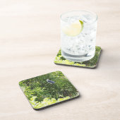 木でとまっているフクロウ コースター (右側)