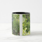 木でとまっているフクロウ マグカップ (中央)