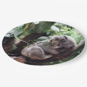 木でリラックスしているかわいいコアラ ペーパープレート (アングル)