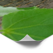 木で休むリス ポスター (角)