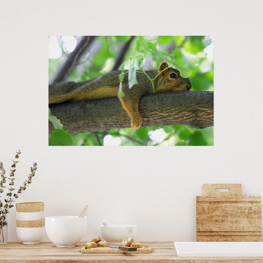 木で休むリス ポスター (キッチン)