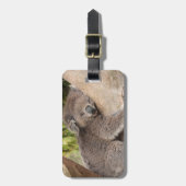 木で休んでいるかわいいコアラ ラゲッジタグ (正面縦)