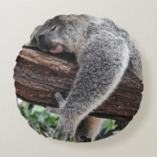 木で眠るコアラベア ラウンドクッション
