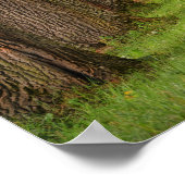 木とパス聖書の引用文感動的ことわざ ポスター (角)