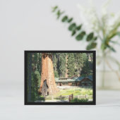 木と博物館 ポストカード (スタンド正面)