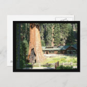 木と博物館 ポストカード (正面/裏面)