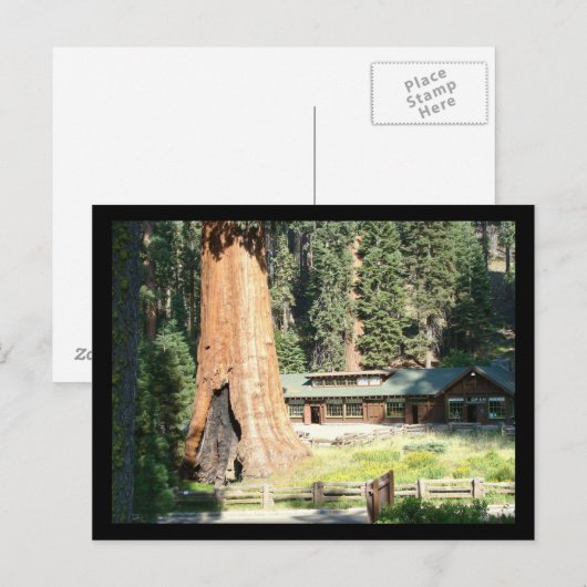 木と博物館 ポストカード (正面/裏面)