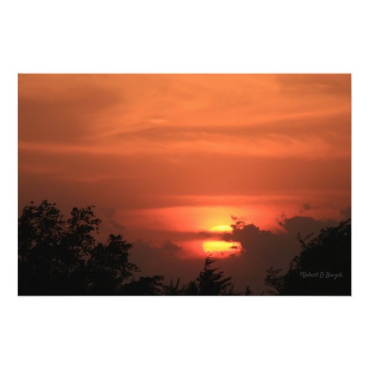 木と太陽の写真の拡大とカンザスサンセット フォトプリント            (正面)