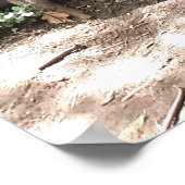 木と根 ポスター (角)