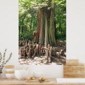 木と根 ポスター (キッチン)