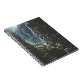 木と滝 ノートブック (右側)