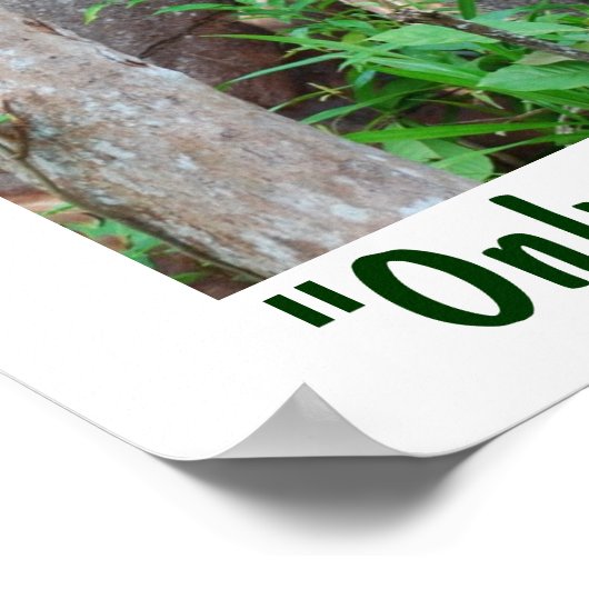 木と野生生物を作れるのは神のみ ポスター (角)