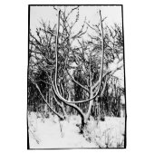 木と雪のシーン、白黒 ミディアムペーパーバッグ (裏面)