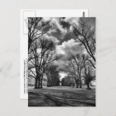 木と雲 ポストカード (正面/裏面)