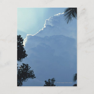 木と雲 ポストカード