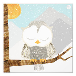 木にいる雪のオウルが寝ている フォトプリント           