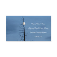 木によって刺される月