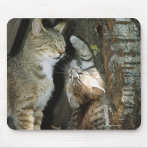 木による猫そして子ネコ マウスパッド