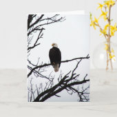木にハゲのワシ カード (黄色い花)