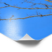 木にハゲのワシ フォトプリント            (角)