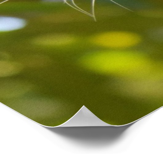 木にヒョウ ポスター (角)