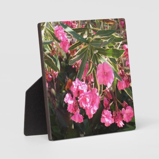 木にピンク色の花 フォトプラーク (正面)