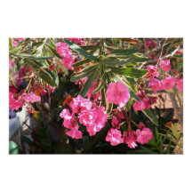 木にピンク色の花