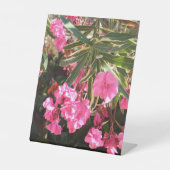 木にピンク色の花 台座サイン (正面)