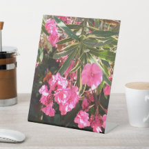 木にピンク色の花