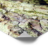 木にマッシュルーム落ちた ポスター (角)