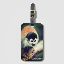 木にリスのサル