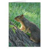 木にリス (正面)