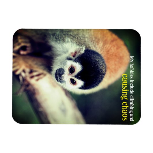 木にリス マグネット (横)