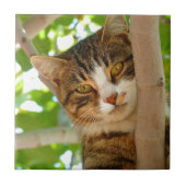 木に上っている猫 タイル (正面)