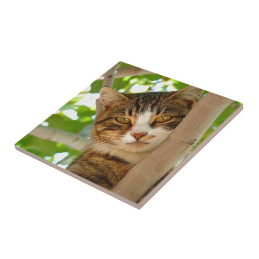 木に上っている猫 タイル (側面)