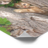 木に二匹の子猫 ポスター (角)