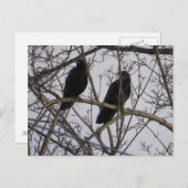 木に二羽の黒いカラス ポストカード (正面/裏面)